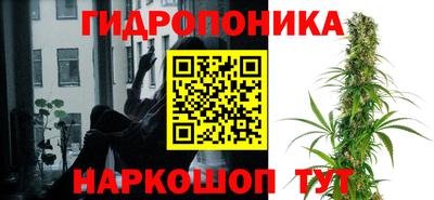 мдпв Дубна